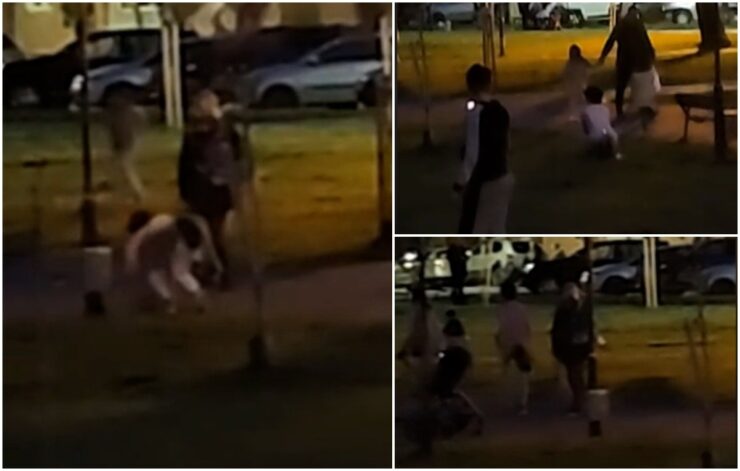 Tineri îmbrăcați în animale care merg în patru labe prin parcuri și fac scandal. Cine sunt therienii, noua specie din România 25 intamplare in parc