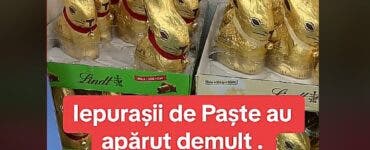 Tu ai găsit bani în iepurașii de Paște din magazinele din România? Au creat isterie pe TikTok! Care este, de fapt, adevărul VIDEO