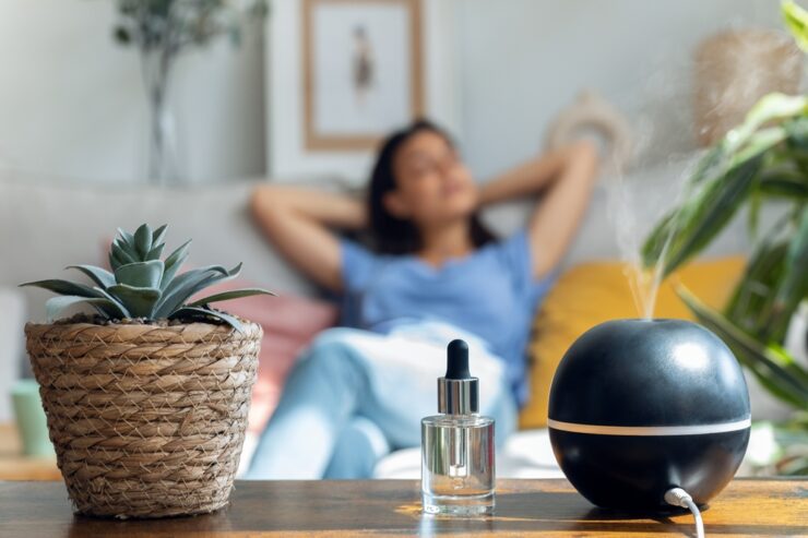 5 motive pentru a investi într-un difuzor de arome profesional 25