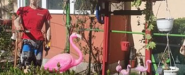 Românul care și-a decorat grădina din fata blocului. Sursă foto:Instagram scarafrumos/Alexandra Mandache