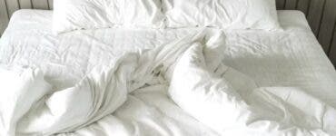 Pat. Sursa foto: freepik.com