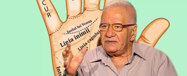 linii palma