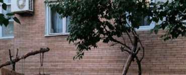 Ce a pus un român în grădina blocului său. Sursă foto : Instagram