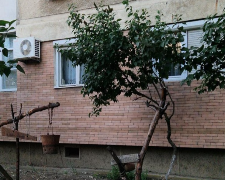 Ce a pus un român în grădina blocului său. Sursă foto : Instagram