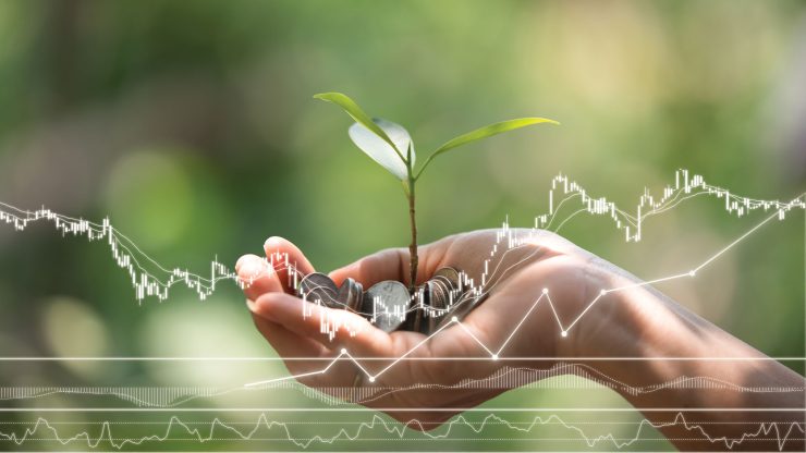 Tipuri de credite agricole 25