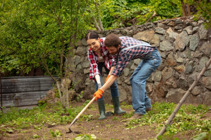 5 etape esențiale în pregătirea solului pentru cultivare 25