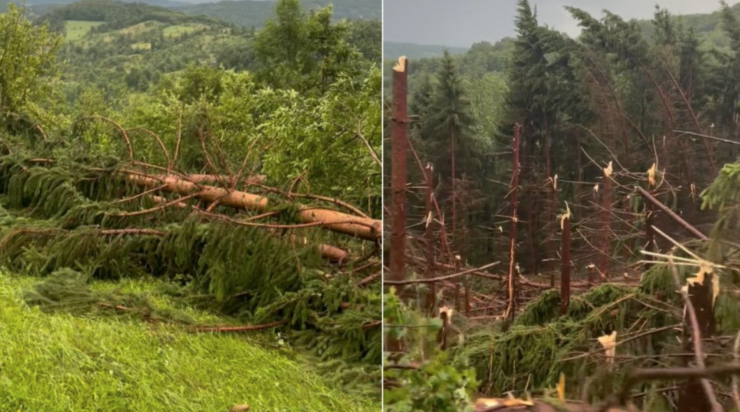 Distrugeri masive în Maramureș. Sursă foto: Facebook