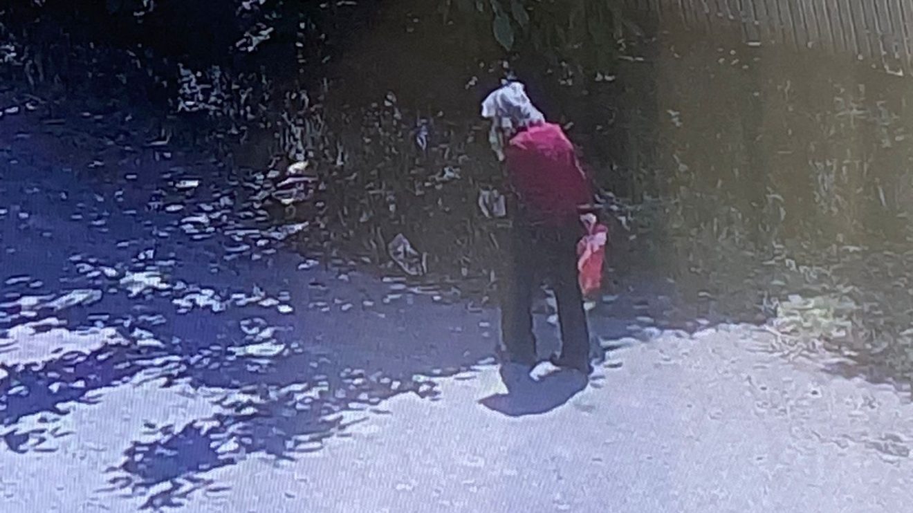 fosta profesoara disparuta