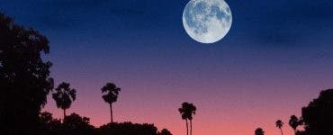 luna plina