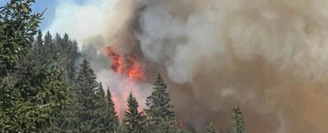Incendii devastatoare în cinci județe