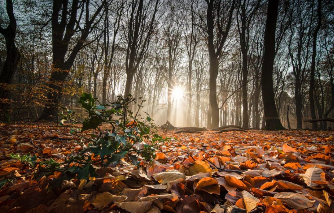 Vreme atipică pentru luna septembrie! Ce se întâmplă cu temperaturile la sfârșitul verii, conform ANM