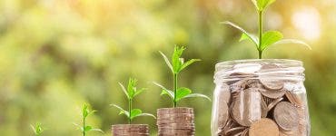 bani sursa - pixabay