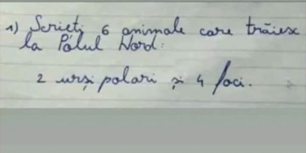 Testul viral pe internet. Ce a răspuns un elev la cerința: „Scrieți 6 animale care trăiesc la Polul Nord" 25