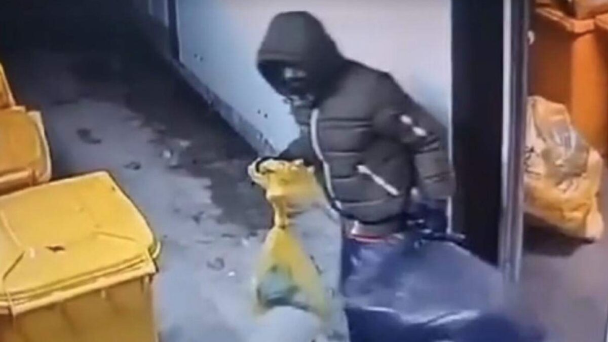 Cine este bărbatul care a furat trei picioare amputate de la Spitalul Cantacuzino. Motivul jafului i-a lăsat fără cuvinte pe anchetatori 26 Foto: Observatornews.ro
