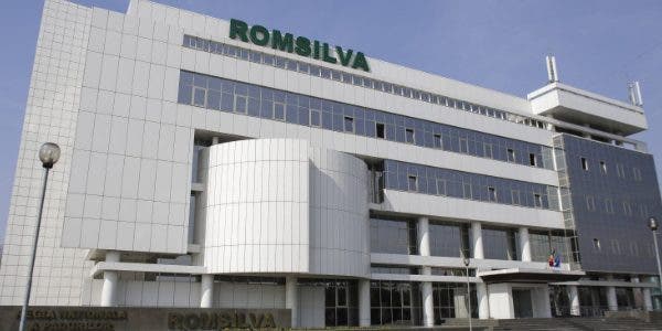 Romsilva sursa - pixabay