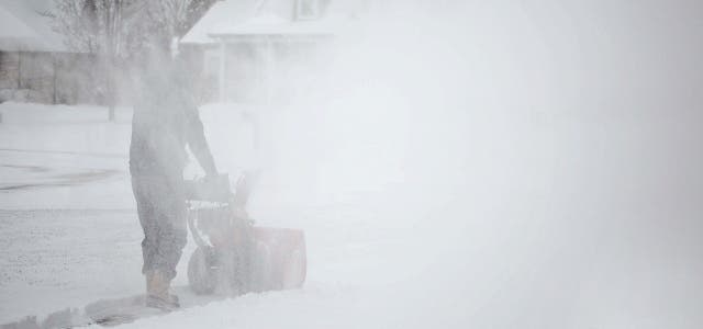 viscol sursa - pixabay