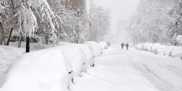 val de ninsori și ger