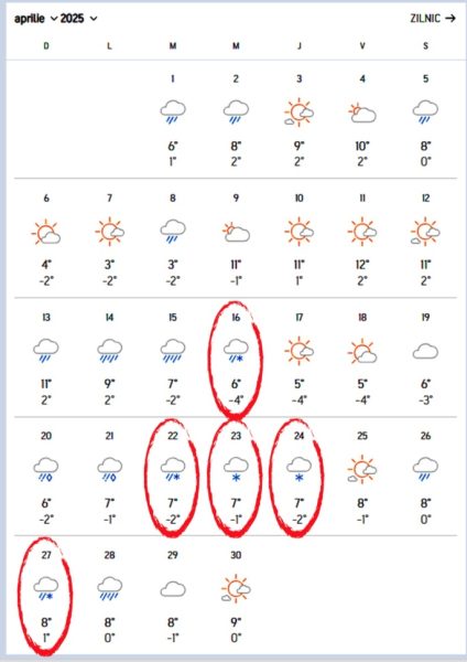 Ninsori de Paște și 1 Mai. Orașul din România în care va ninge în plină primăvară 26 sursă foto: Accuweather