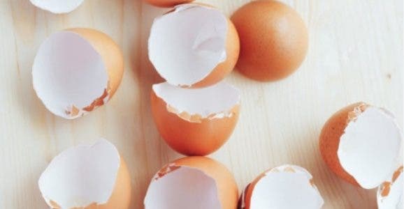 Cum să folosești coaja de ou pentru a curăța vasele murdare