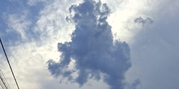 Ce a putut să fotografieze un localnic în Vatra Dornei