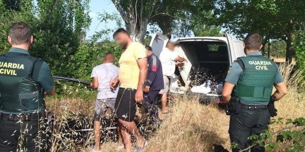 Cu ce au fost prinși opt români dormind în pădurile Spaniei