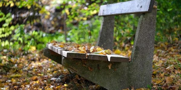M-am oprit pe o bancă în parc, apoi s-a așezat lângă mine un bătrân. Ce a urmat este o adevărată lecție de viață