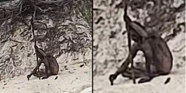 Apariție misterioasă în Germania. Omul-lup care a fost observat în munți, cu o suliță în mână