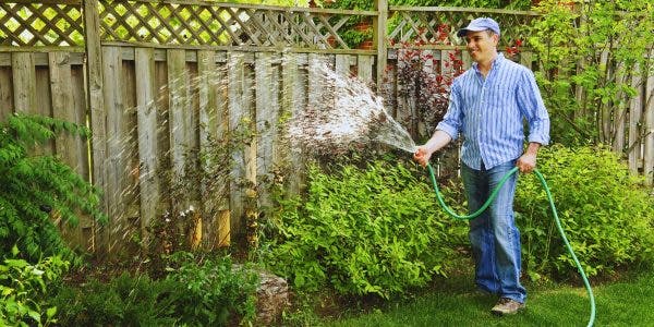 Udarea corectă a plantelor pe timp de caniculă – dimineața sau seara