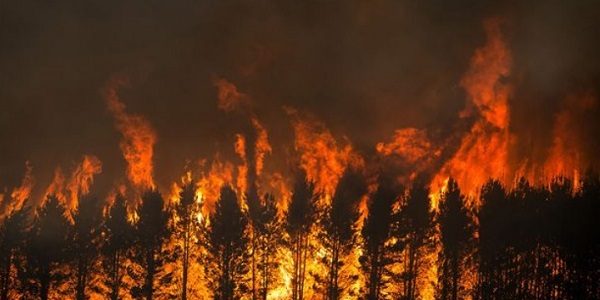 incendiu spania