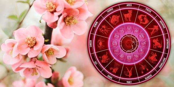 Trei zodii cu o inimă de aur. Își pun sufletul pe tavă și îți sunt alături în cele mai grele momente