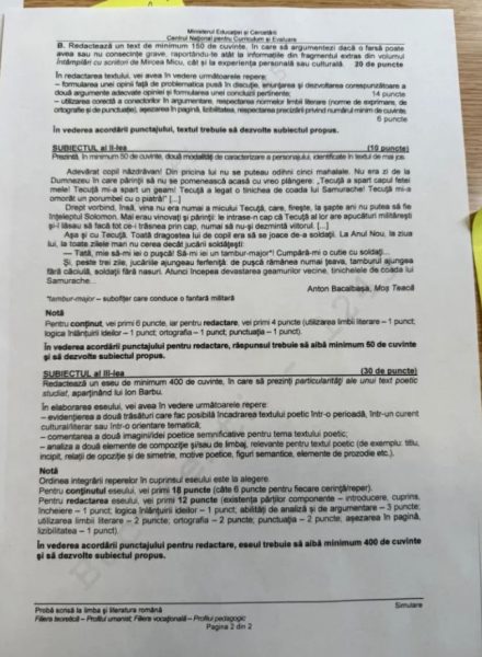 simulare bac