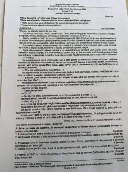 simulare bac