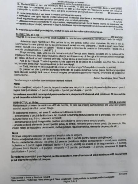 simulare bac