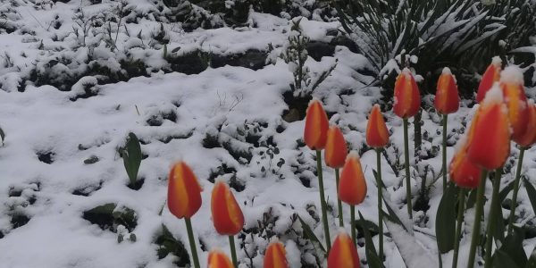 sursa foto. Facebook Meteo Plus