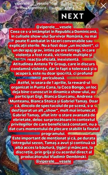 Haos total la Survivor! Ce ar fi făcut Gabi Tamaș într-un local din Punta Cana 26 SURSA FOTO: VIPERELE VESELE