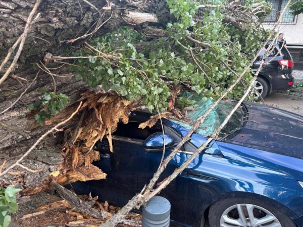 Haos după vijeliile violente din țară. Orașe întregi au fost lovite de grindină și ploi torențiale 26 Copac căzut peste autoturism/ sursa: Meteoplus