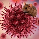 Cine este primul român infectat cu hantavirus