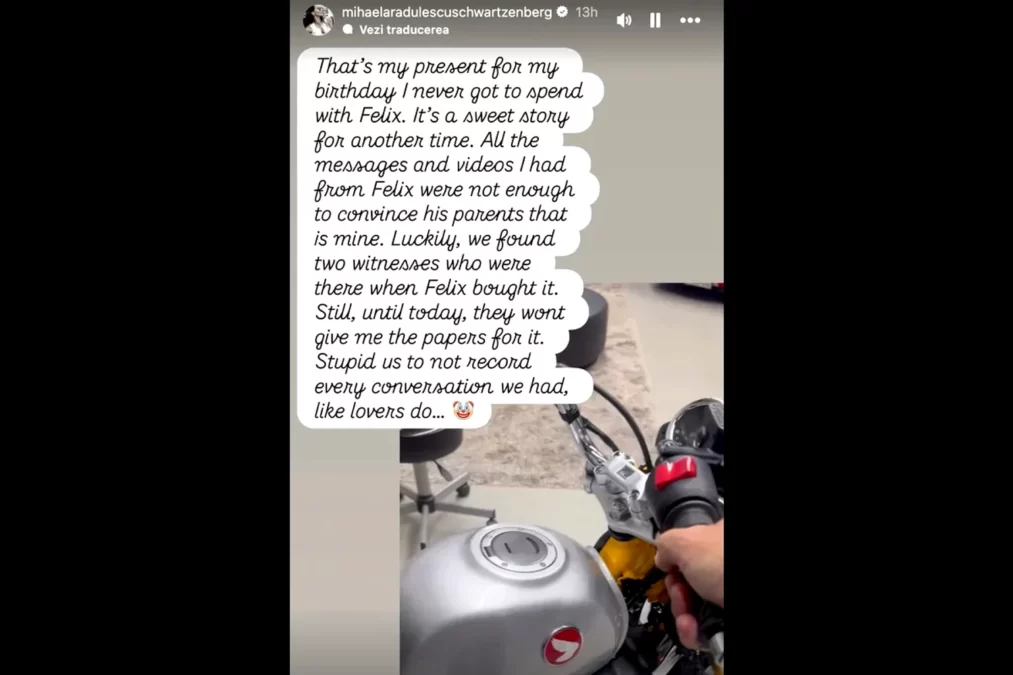 Ultimul cadou de la Felix, motiv de scandal! Ce spune Mihaela Rădulescu 26 Felix Baumgartner