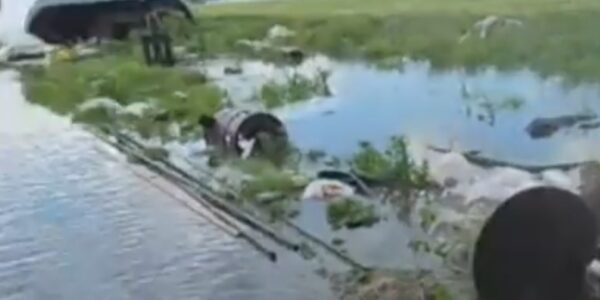 Furtunile au făcut ravagii în mai multe județe