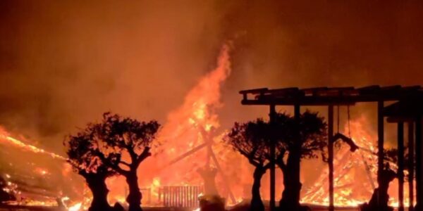 Incendiu uriaș la Mamaia. Două beach baruri cunoscute au ars în totalitate 25 Incendiu Mamaia. Foto: Antena 3 CNN