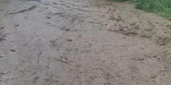 Furtuna a făcut prăpăd la Galați. Străzi acoperite de apă și trafic dat peste cap după ploile torențiale 51