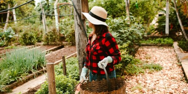 Cum pregătești solul pentru culturile de primăvară încă din toamnă. Pașii care fac diferența în grădină