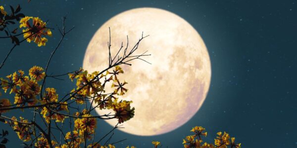 Luna Plină în Pești de pe 28 august schimbă destine! Zodiile care sunt vizate direct de karma