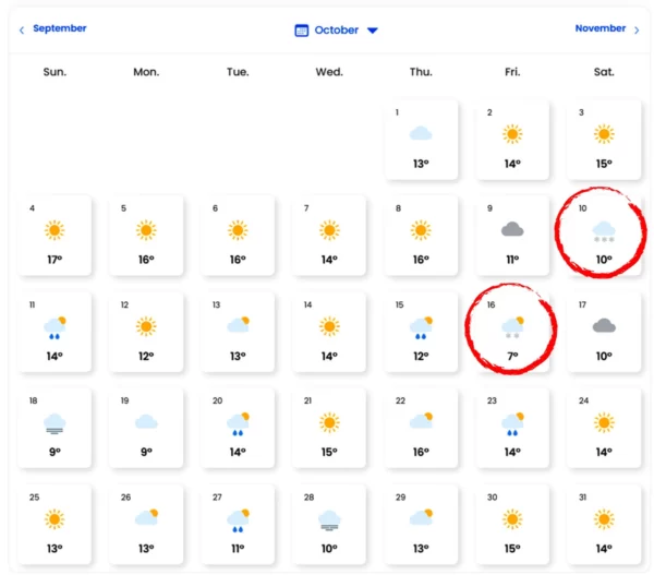 Vin ninsorile! Orașele din țară în care vor cădea primii fulgi de nea în luna octombrie. Date de ultimă oră de la meteorologii EaseWeather 26 anm