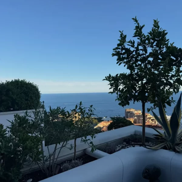 Mihaela Rădulescu a arătat imagini rare din locuința sa de pe Coasta de Azur. Cum arată penthouse-ul vedetei din Monaco 26 Foto: instagram