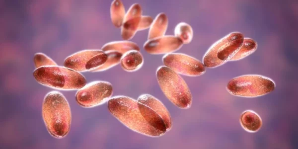 Alertă sanitară după moartea unei tinere. Aproape 200 de persoane sunt monitorizate după un posibil caz de ciumă 26 alertă de ciumă rusia