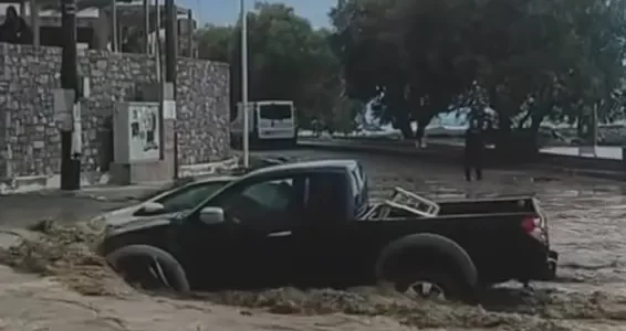 ploi